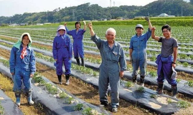 日(ri)本(ben)勞務(wu)派遣農業類、食品(pin)加(jia)工(gong)、建(jian)築業、電(dian)子(zi)業招聘